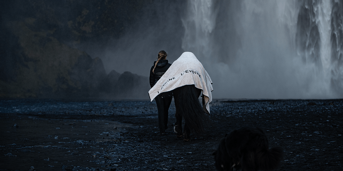 Islandpferde Shop - L'Evoine