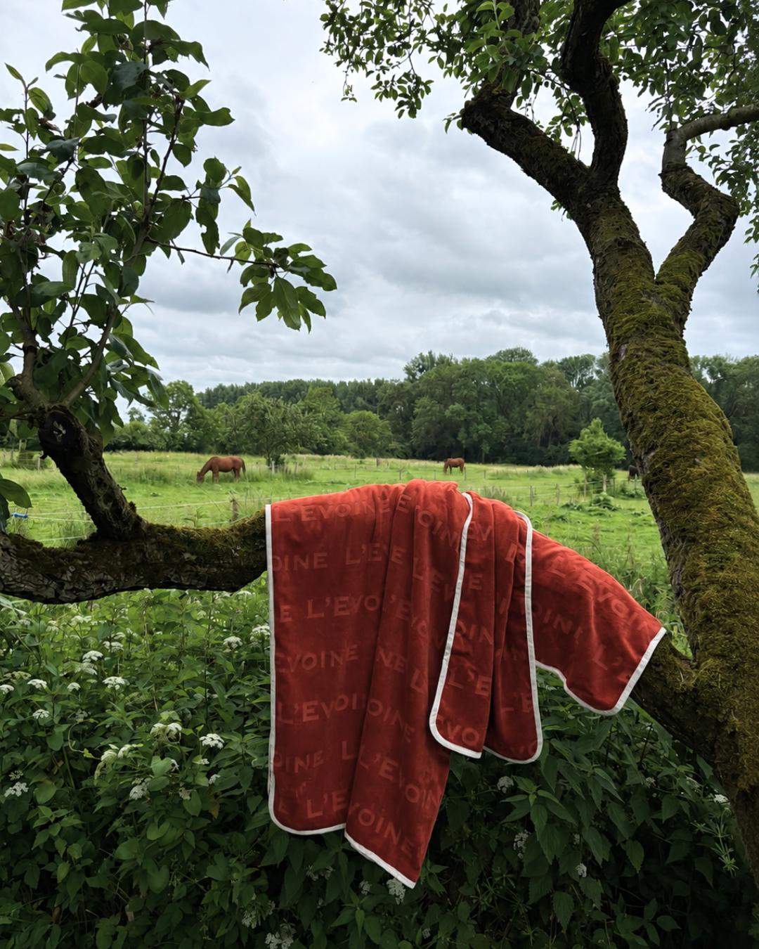 Le Bain Frottee Set burnt red