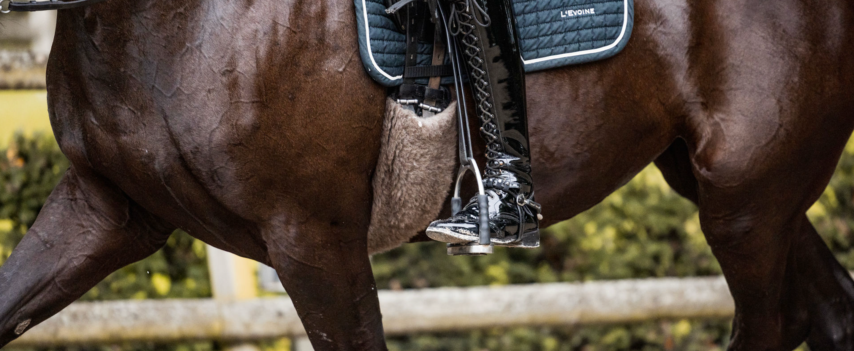 Gurtschoner aus Alpakavlies