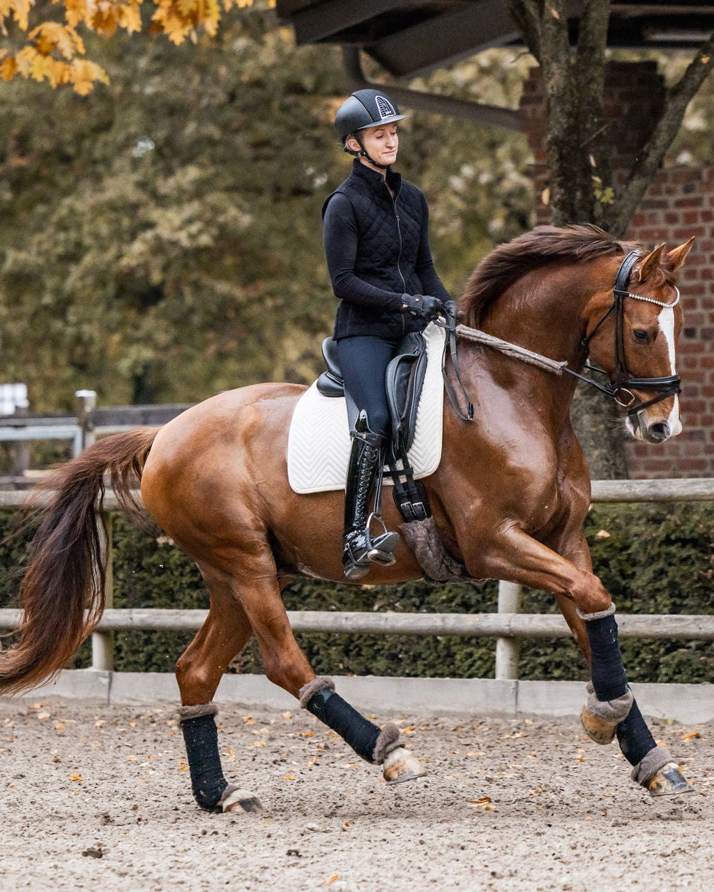 L'Evoine Schabracke und Baumwollbandagen