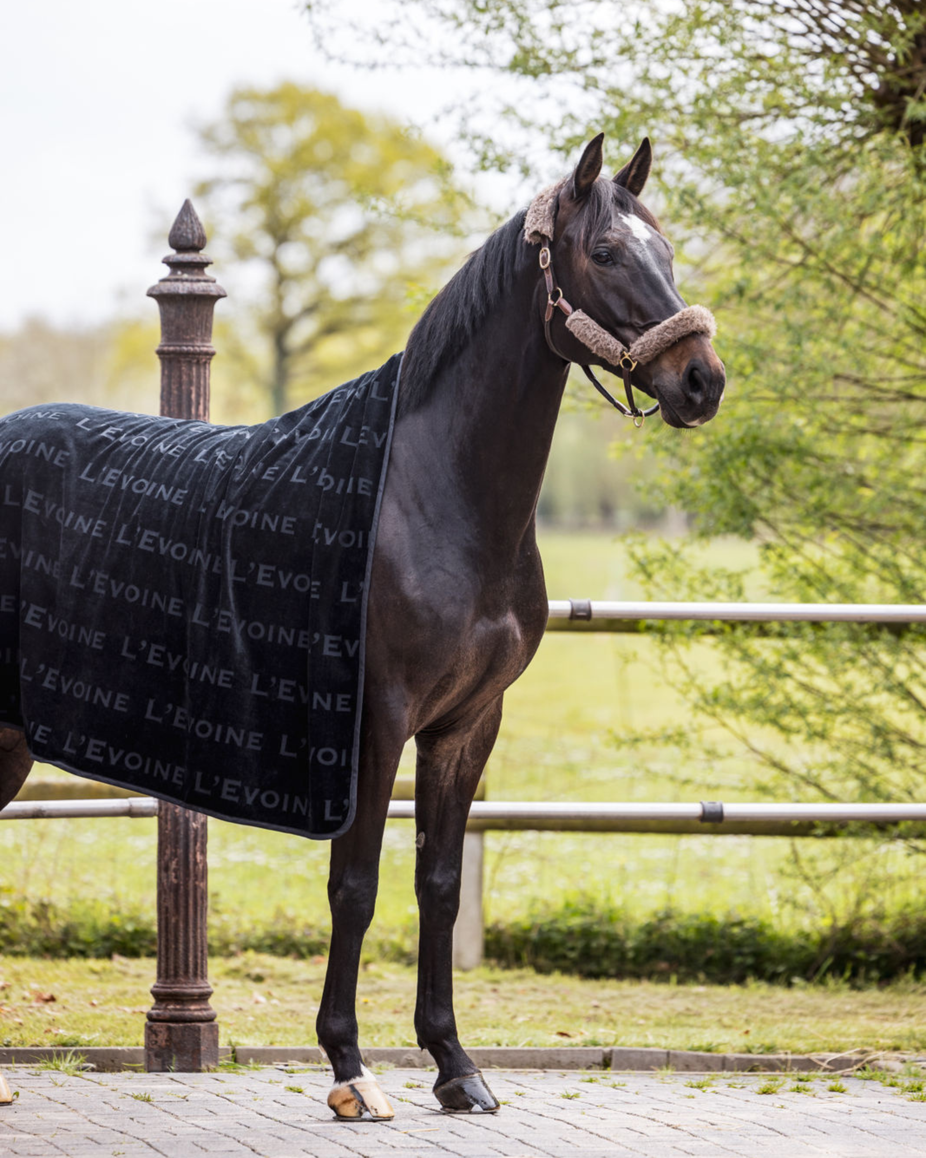 Le Bain noir sweat rug