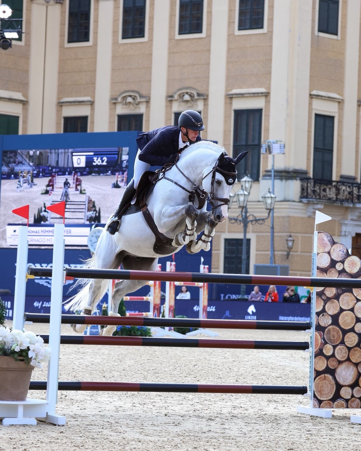 Springschabracke Alpaka L'Evoine Turnier