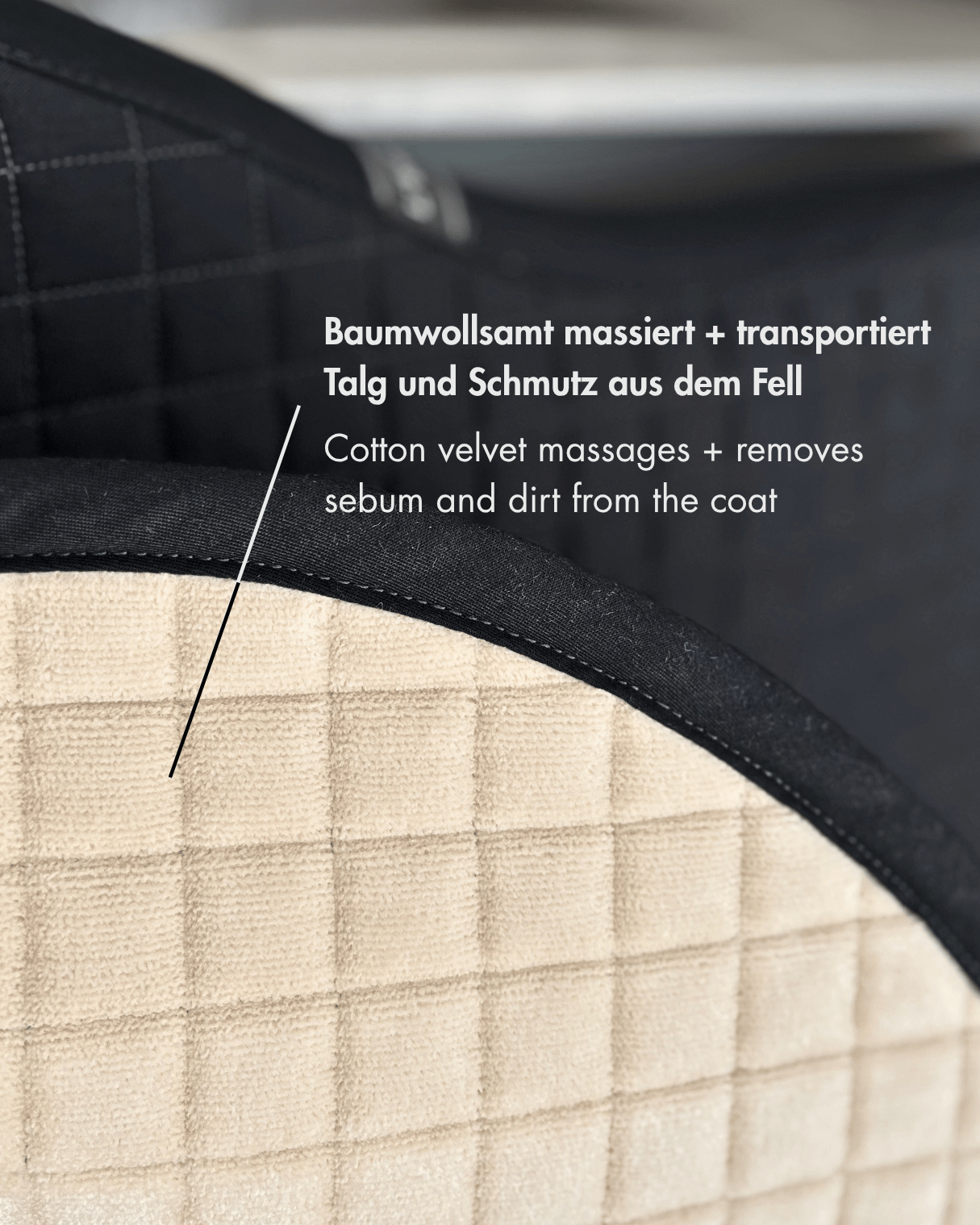 Dressur Schabracke Baumwolle Samt