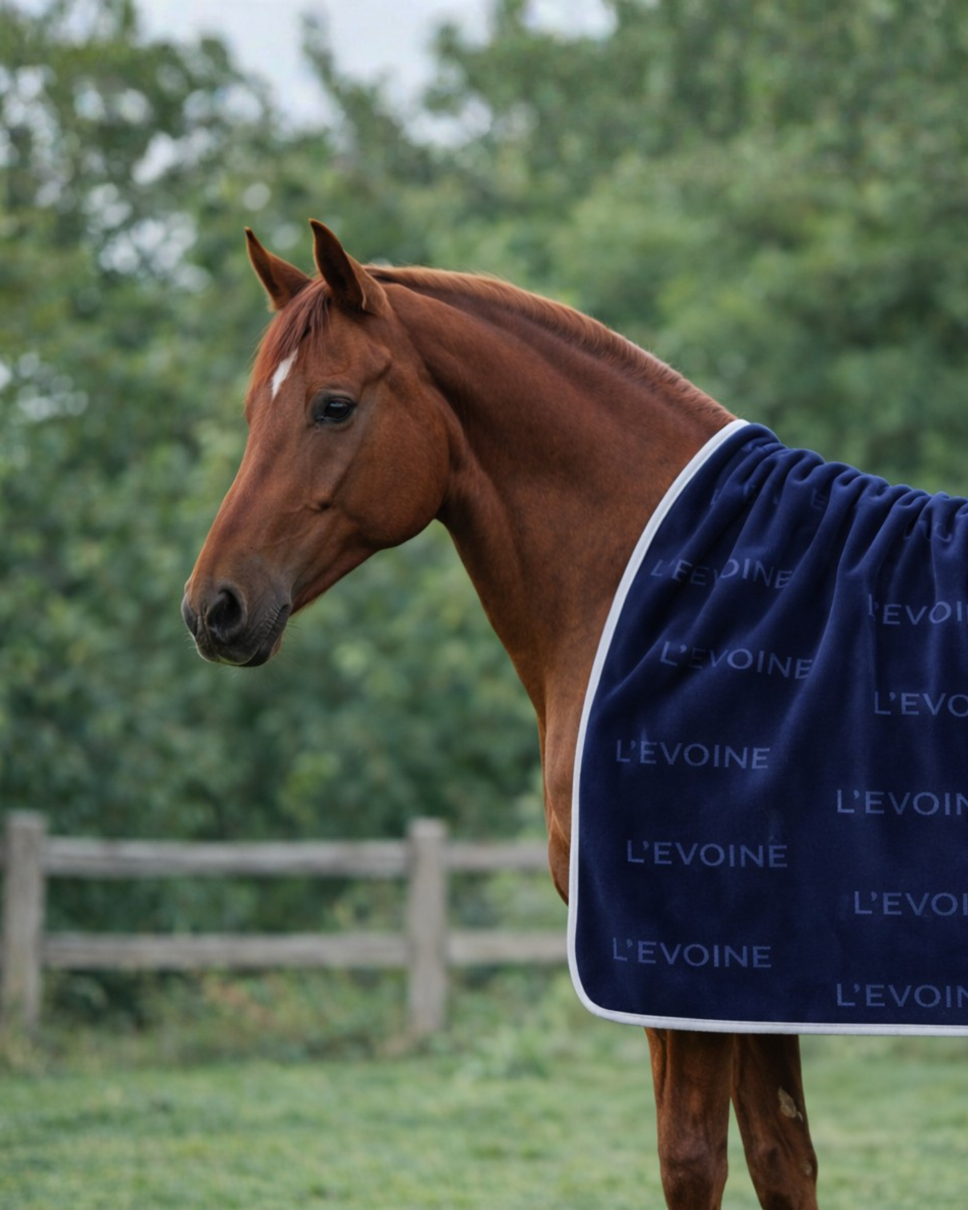 Abschwitzdecke Le Bain midnight