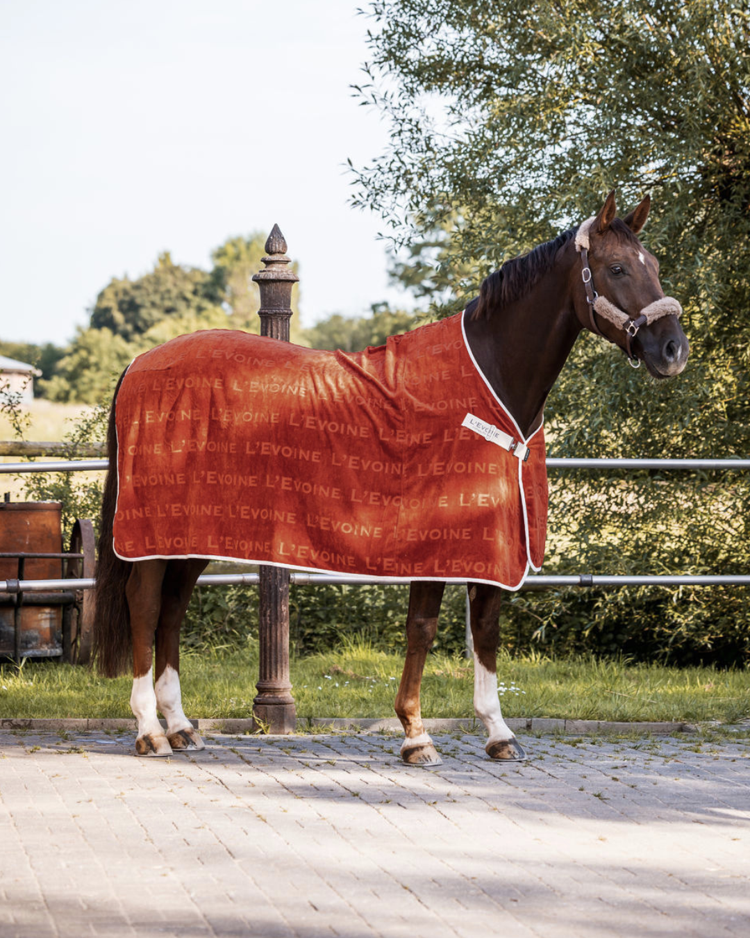 Cotton Sweat Rug Burnt red