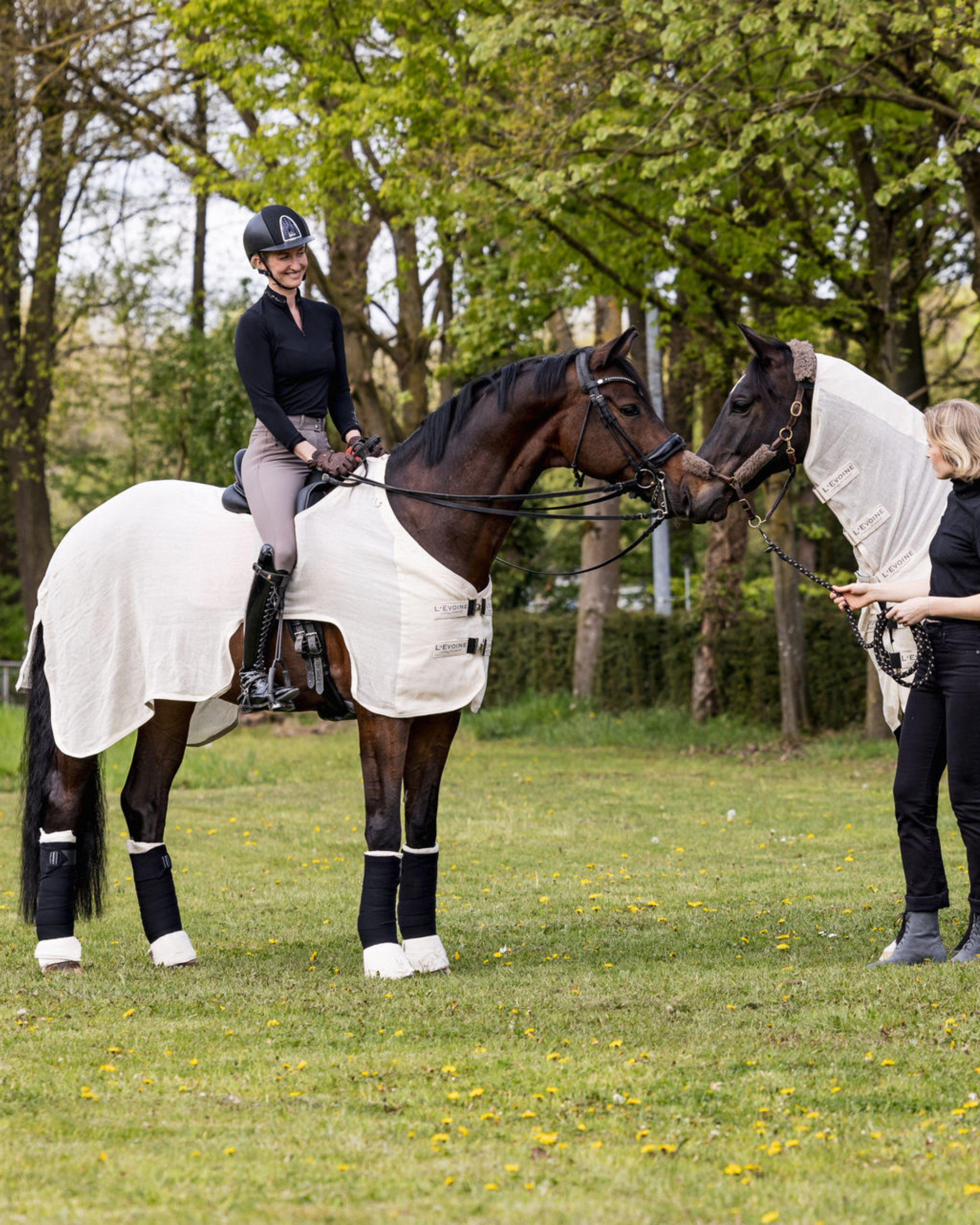 Riding Fly Rug