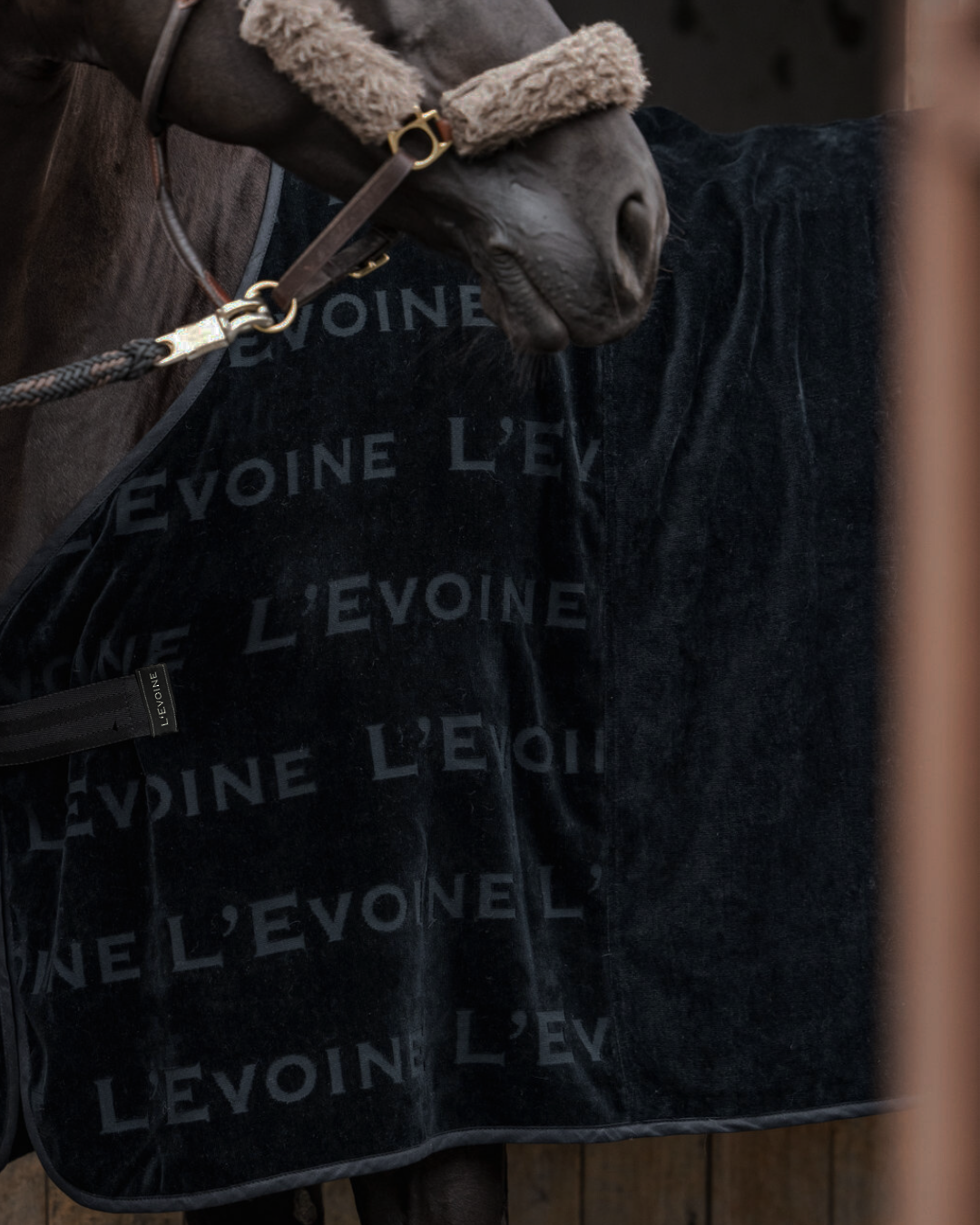 Abschwitzdecke schwarz Baumwolle