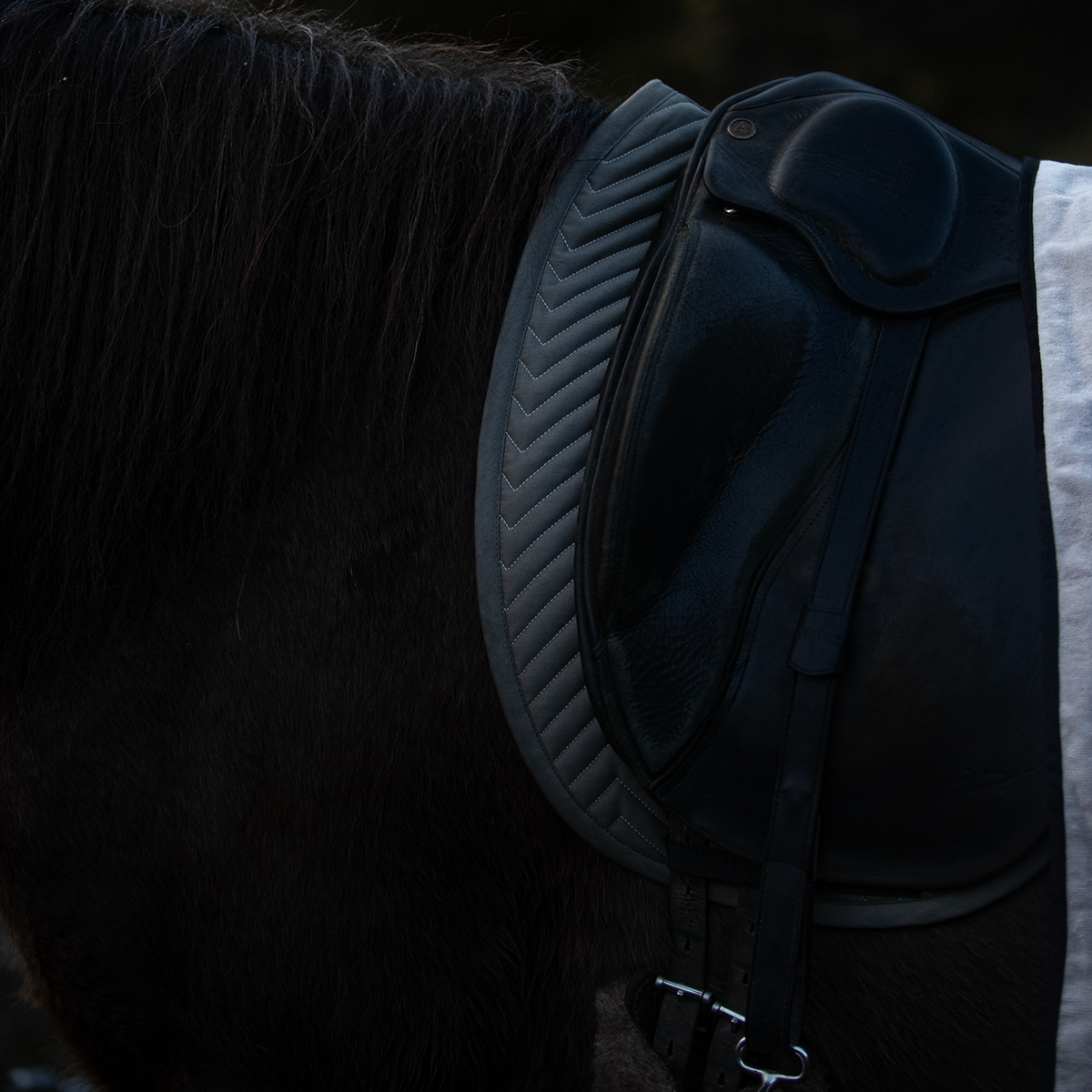 Saddle pad Cotton Icelandic horse