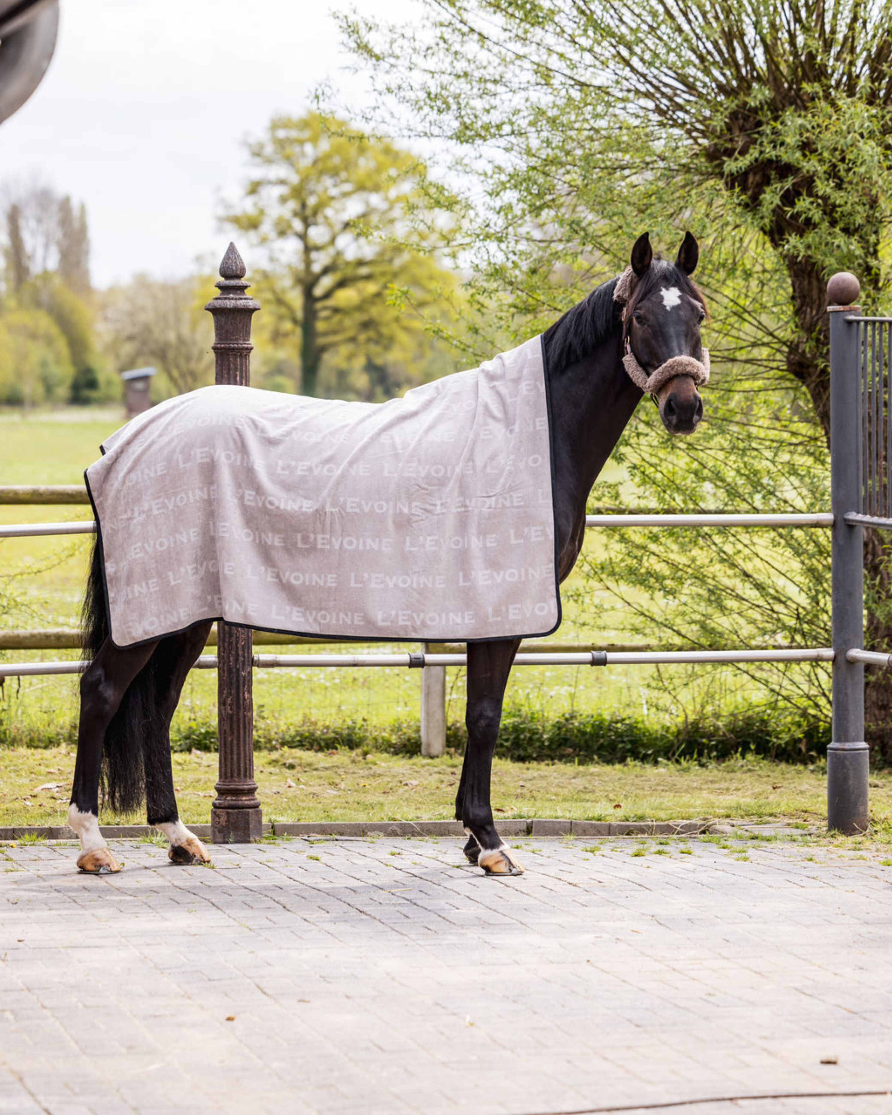 Le Bain gris perle sweat rug
