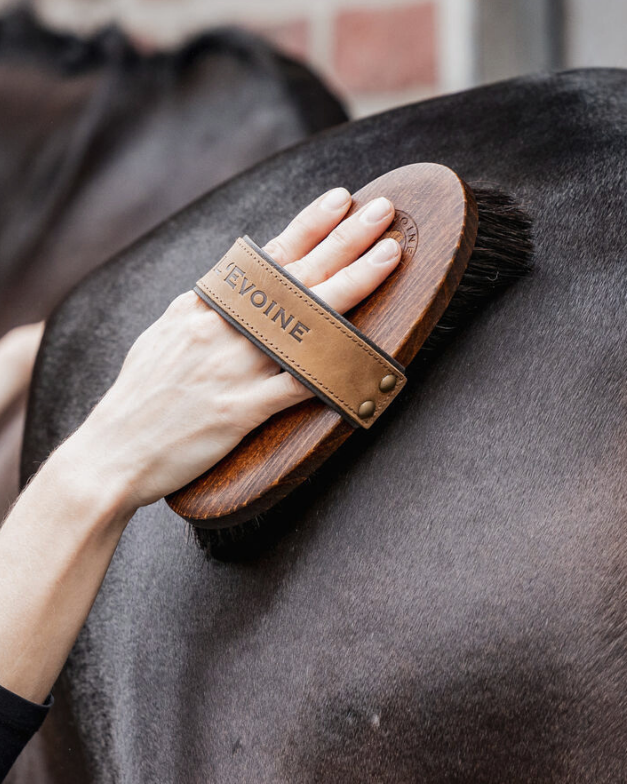 Kardätsche Rosshaar L'Evoine