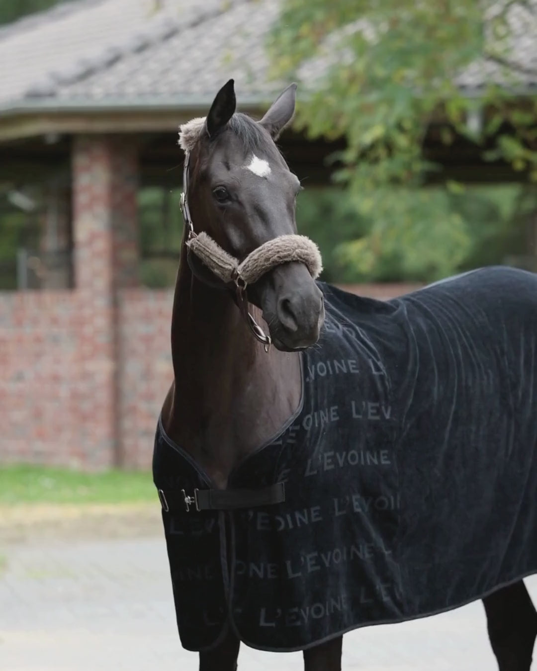 L'Evione Abschwitzdecke Baumwolle