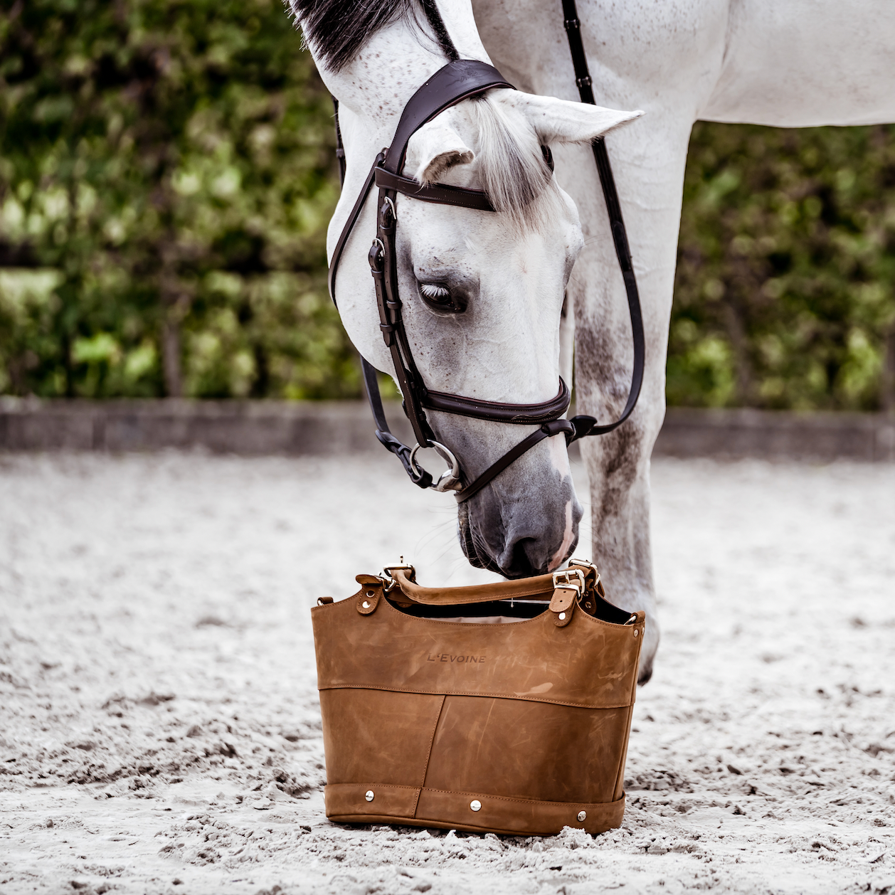 L'Evoine Leder Pflegetasche, Grooming Bag, Putzbox aus Holz, Pferdepflege, Putztasche, Le Baquet, Bucketbag, Putztasche mit Inhalt, Wunderbürste Leistner, Ledertasche Pferde, Hermes Birkin bag, hermes Sattel, hermes schabracke, hermes sellier